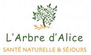 Logo L'Arbre d'Alice